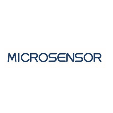 Micro Sensor GmbH